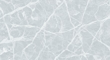 Naklejka premium Fractured Elegance Delicate white veins on a grey shattered surface