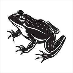 American bullfrog  silhouette vector
