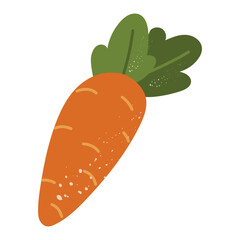 Carrot doodle is flat with texture. Light splashes on products. colored vegetable is suitable for decorating recipes, packaging, menus, stickers, prints and designs in eco, farmer or vegetarian style