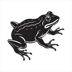 American bullfrog  silhouette vector