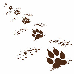 Obraz premium Muddy paw prints trail a playful dog s journey brown footprints on white cute animal tracks simple design vector graphic