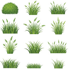 Grass flat vector illustration