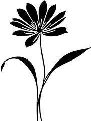black and white flower