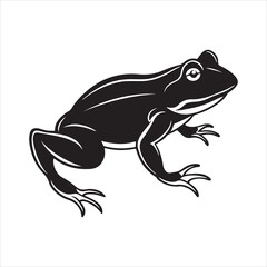 American bullfrog  silhouette vector
