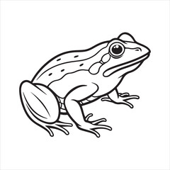 American bullfrog  silhouette vector