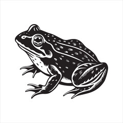 American bullfrog  silhouette vector