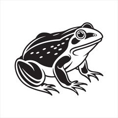 American bullfrog  silhouette vector