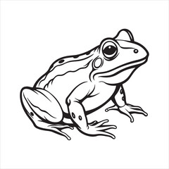 American bullfrog  silhouette vector