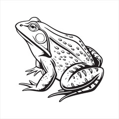American bullfrog  silhouette vector
