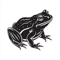 American bullfrog  silhouette vector