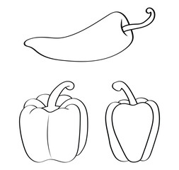 Bell Pepper - Outline Vector Illustration.