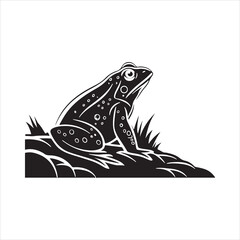 American bullfrog  silhouette vector