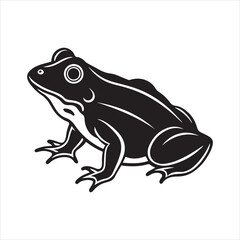 American bullfrog  silhouette vector