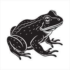 American bullfrog  silhouette vector