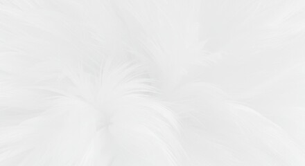 Obraz premium A cloud of delicate soft white feathers creates a calming ethereal texture