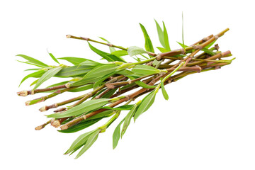 Willow Bark Pieces Medicinal Herb