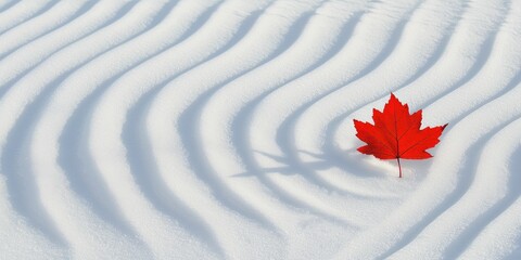 Red maple leaf gently nestled in the grooves of snow drift patterns