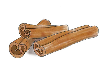 シナモン　シナモンスティック　スパイス　香辛料　アロマ　香り　