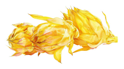 Vibrant Yellow Dragon Fruit on White