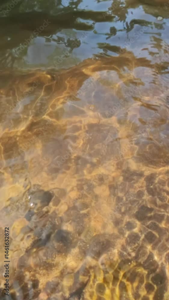 Poster vertical view slow motion of sparkling sunlight on the bottom of a shallow and clear river. tropical