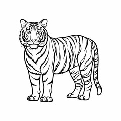 Black and White Tiger Line Art Illustration