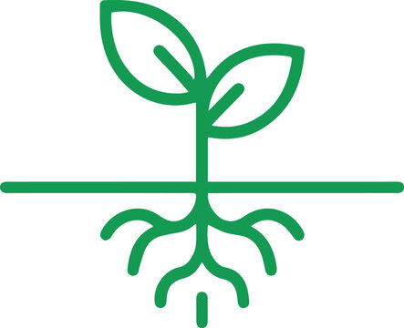green plant with roots, simple line art clip art preview