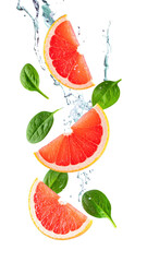  black and white Retro computers halftone design elementtorn and ripped paper circles round png