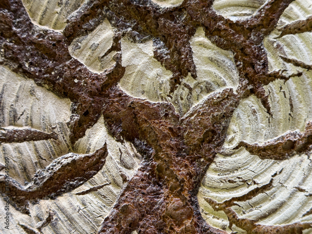 Poster High-resolution image of abstract tree bark texture with brown and white swirls. Perfect for backgrounds and design projects.