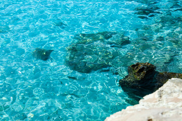 Beautiful sea coast with rocks on sunny day