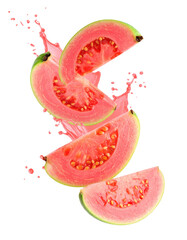 hand holding lound speaker megaphone cut out