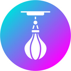 Speed Bag Icon