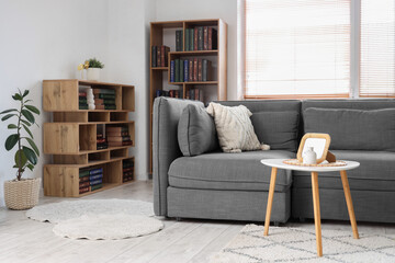 Modern grey sofa and bookshelves with many books in living room