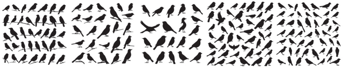set of silhouette bird icons