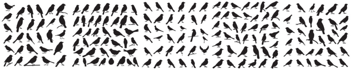 set of silhouette bird icons