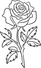 Detailed Black Outline Drawing of a Rose Stem

