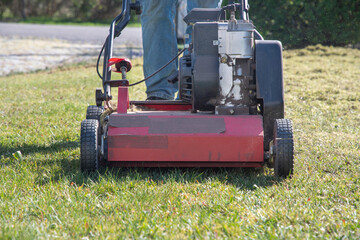 Professional gardener regularly clears the lawn of moss and tall grass with a gasoline-powered scarifier, and combs it to provide it with air for further growth after the winter,