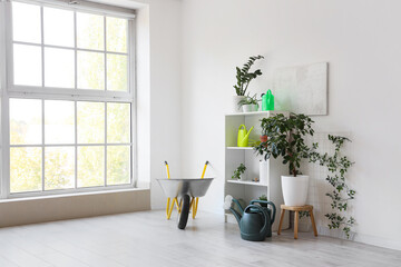 Set of gardening tools and plants near light wall