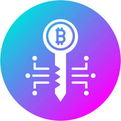 Private Key Icon