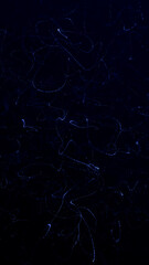 Abstract vertical background featuring swirling light particle trails in deep blue shades. Great for motion graphics, futuristic design or backgrounds.