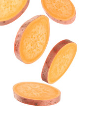  black and white satellites halftone design element on white 