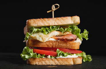 club sandwich closeup