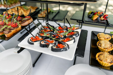 Catering plate. Assortment of snacks on the buffet table 