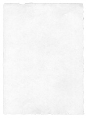 Sheet of torn paper with detailed ripped edges and carefully isolated on transparent background.