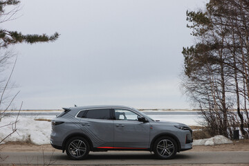 A gray SUV is parked by a road next to a body of water