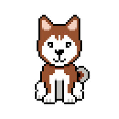 Pixel art siberian husky dog vector in retro style
