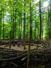 Aufbauten in einem Waldkindergarten