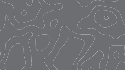 Gray Abstract Topographic Map Background. Minimal Contour Line Design