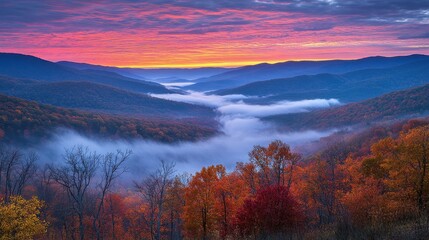 Fototapeta premium Mountains peek above fog, fall colors on trees, dawn's pink and orange sky. Use for travel blogs, serene websites, or anything nature-inspired.