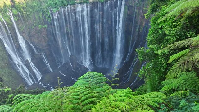 Tumpak sewu waterfall indonesia. In summer, there are lush green trees and colorful leaves.