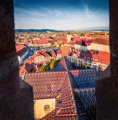 Sunny summer view of Tower of Council and textured colorful roof in traditional romanian style of...